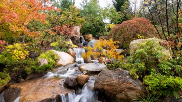 natuur rondreis michigan