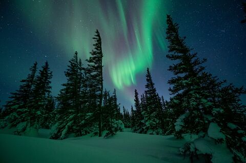 Aurora Borealis Churchill