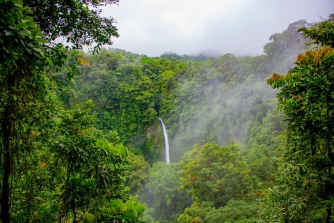 waterval met bomen in het Manuel Antonio Nationaal Park