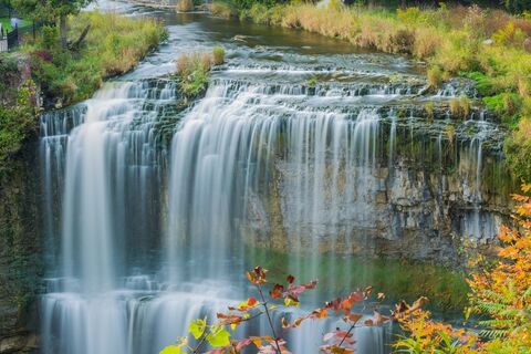 Webster Falls, Hamilton