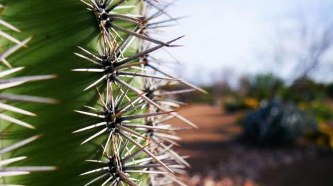 Glendale arizona