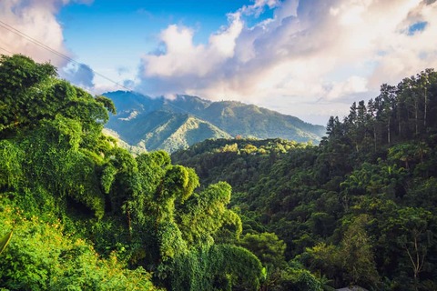 Jamaica mountains