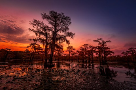 natuur rondreis louisiana