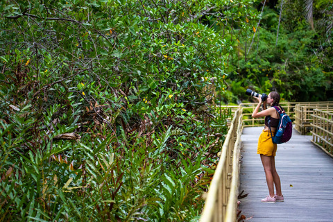 Vrouw met camera in nationaal park in Costa Rica