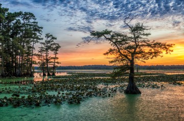 Natuur rondreis mississippi