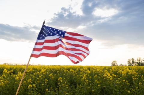 vlag amerika in het veld