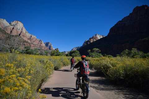Fietsen door het landschap van Zion National Park