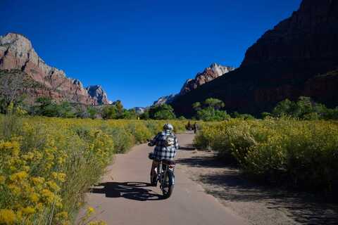Fietsen door het landschap van Zion National Park