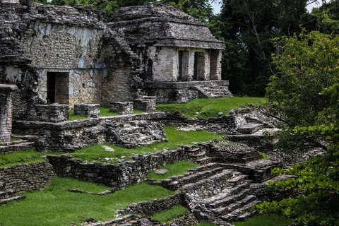 De archeologische zone van Palenque in een prachtig groen landschap