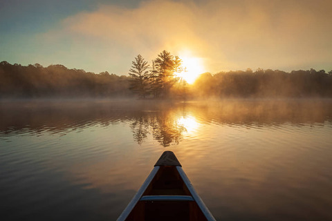 Shutterstock 2483278553