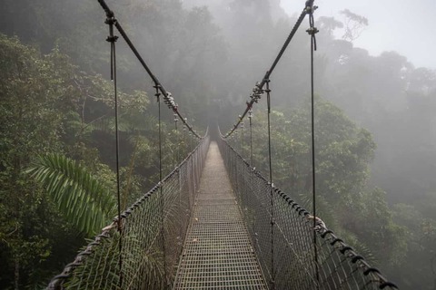Uitzicht op de hangbruggen in het park “Mistico Arenal Puentes Colgantes” in de regio Arenal, Costa Rica