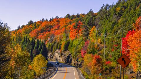 Algonquin Provincial Park