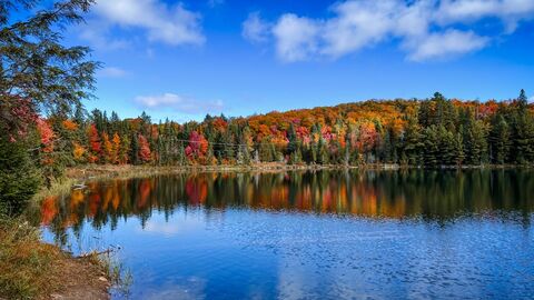 lgonquin Provincial Park, Ontario Canada