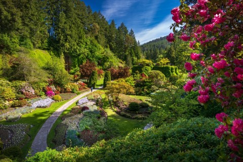 Afbeelding van Shutterstock 2495681073