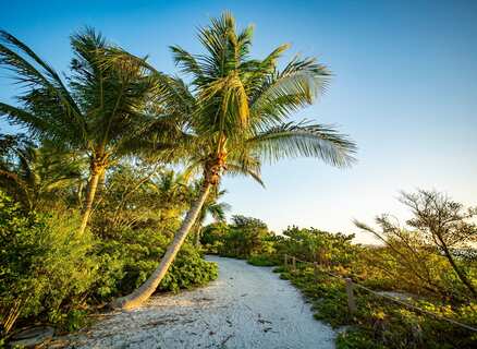Tropische strandroute op Sanibel Island Florida met palmbomen en witte zandstrand blauwe lucht.