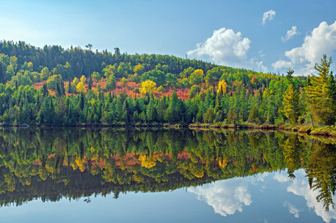 Lonely Lake in de herfst, Gunflint trail