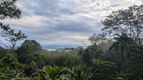 Shutterstock 2545996871