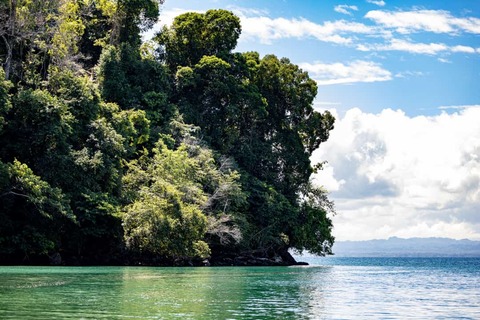 Shutterstock 2546001415