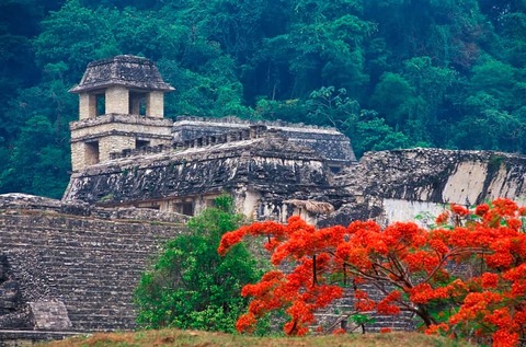Palenque archeologische gebied