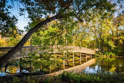 Nathaniel Green Park Boardwalk Trail Springfield