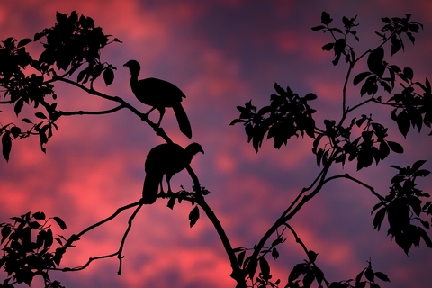 Boca Tapada, zonsondergang