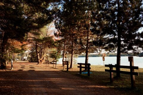 Trail in Algonquin Provincial Park in de herfst