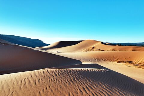 Shutterstock 2608383957