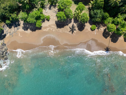 Shutterstock 2622959887