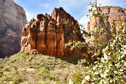 in de omgeving van Zion National Park Landmark Canyon