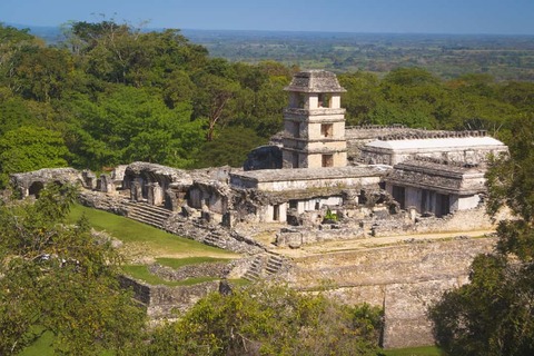 Ruïnes in Palenque, een Maya-stadstaat in het zuiden van Mexico die in de 8e eeuw is omgekomen.