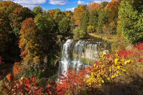 Webster Falls, Hamilton
