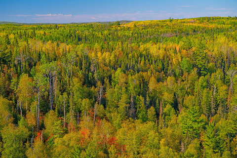 Great North Woods, Gunflint Trail
