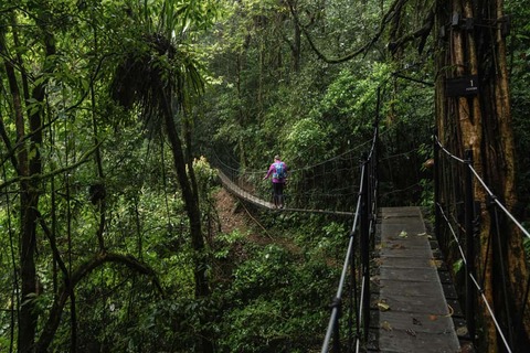 Hanging Bridgescloud forest Monteverde