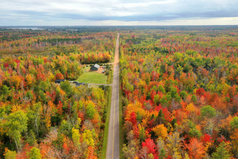 Bos op Prince Edward Island in de herfst