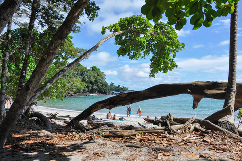 Strand in Manuel Antonio National Park
