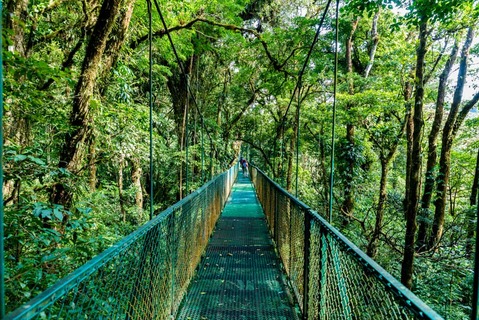 Hanging Bridges cloud forest Monteverde