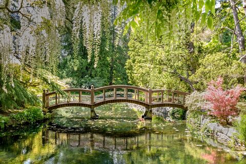 Japanese Garden, victoria