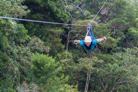 canopy tour door het regenwoud van Costa Rica