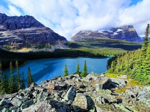 Lake O'Hara, Yoho National Park
