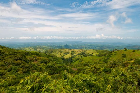 Landschap van Monteverde national park - Costa Rica