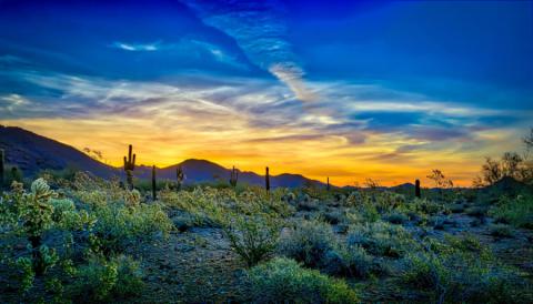 Glendale arizona