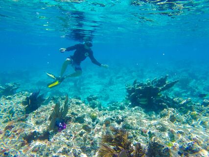 Snorkelen Key West
