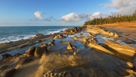 Shore Acres State Park Shore Acres State Park