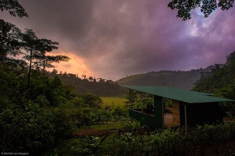 Tapir Valley Viewing Platform