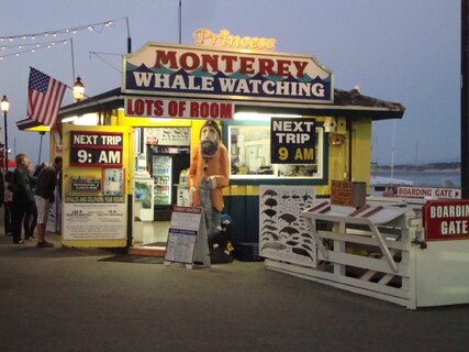 Whale Watch Departure