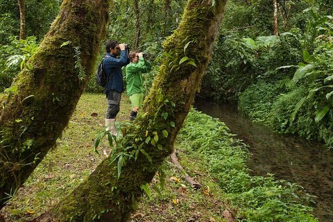 Wonderful Birdwatching, Tapir Valley