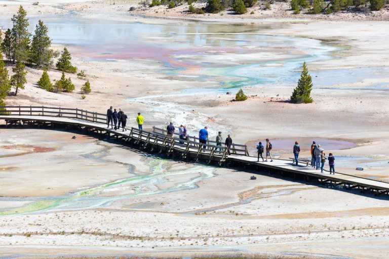 Groep toeristen loopt over een lange houten loopbrug door een wit thermaal gebied met kleurrijke afvoergeulen in Yellowstone National Park