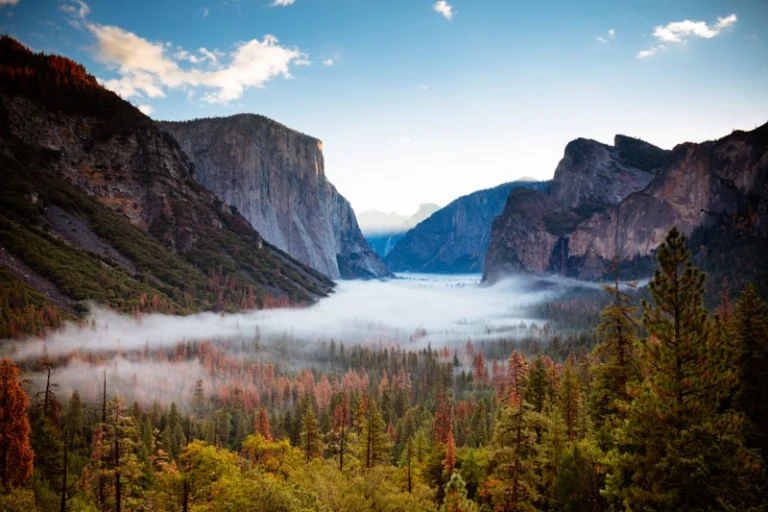 Uitzicht vanaf Tunnel View over de beboste vallei van Yosemite National Park met lage mist tussen de granieten rotswanden