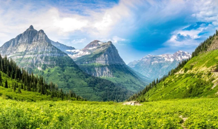 Groen dal vol wilde bloemen omringd door hoge bergtoppen met sneeuwresten in Glacier National Park