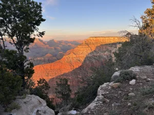 Warm oranje licht van de ondergaande zon verlicht de gelaagde rotswanden van de Grand Canyon gezien tussen bomen door